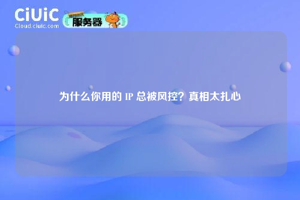 详细阅读:为什么你用的 IP 总被风控?真相太扎心 为什么你用的 IP 总被风控?真相太扎心