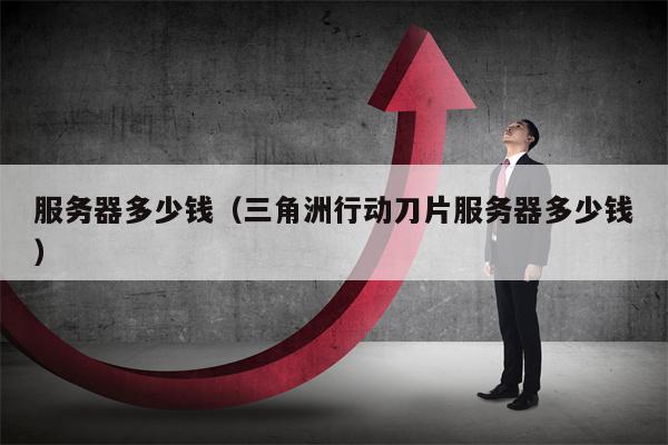 服务器多少钱（三角洲行动刀片服务器多少钱）