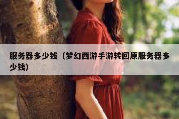 服务器多少钱(梦幻西游手游转回原服务器多少钱)