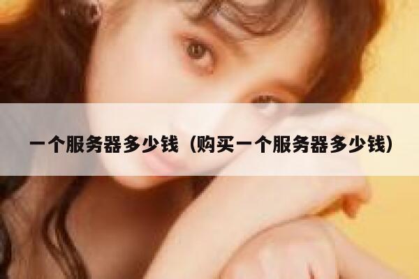 一个服务器多少钱(购买一个服务器多少钱)