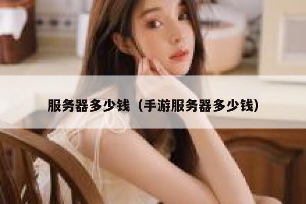 服务器多少钱（手游服务器多少钱）